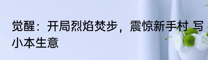 觉醒：开局烈焰焚步，震惊新手村 写小本生意