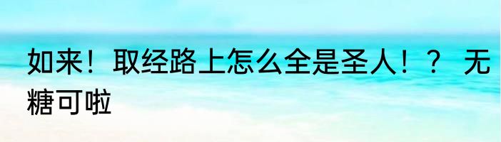如来！取经路上怎么全是圣人！？ 无糖可啦
