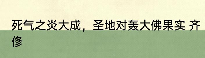 死气之炎大成，圣地对轰大佛果实 齐俢