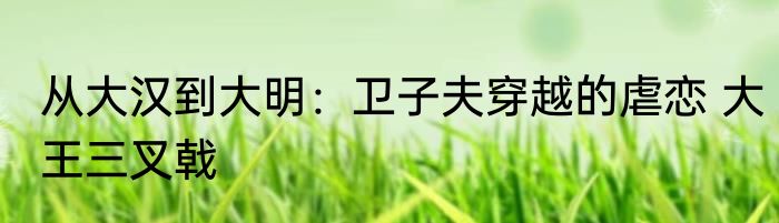 从大汉到大明：卫子夫穿越的虐恋 大王三叉戟