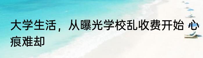 大学生活，从曝光学校乱收费开始 心痕难却