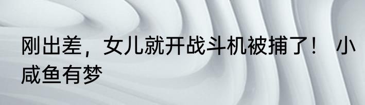 刚出差，女儿就开战斗机被捕了！ 小咸鱼有梦