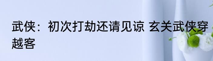 武侠：初次打劫还请见谅 玄关武侠穿越客