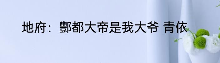 地府：酆都大帝是我大爷 青依