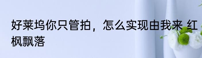 好莱坞你只管拍，怎么实现由我来 红枫飘落