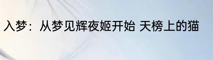 入梦：从梦见辉夜姬开始 天榜上的猫