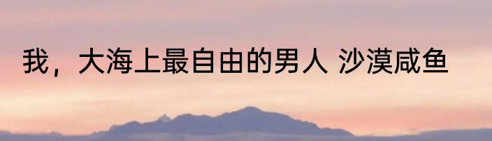 我，大海上最自由的男人 沙漠咸鱼