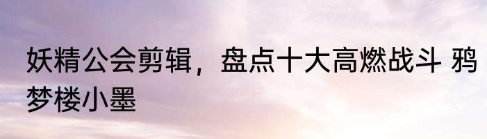 妖精公会剪辑，盘点十大高燃战斗 鸦梦楼小墨