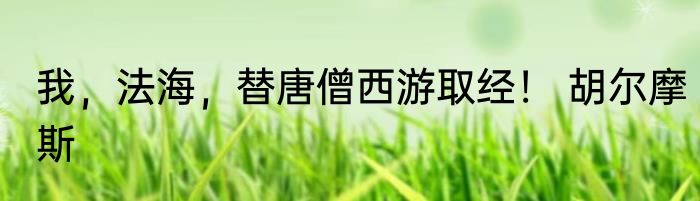 我，法海，替唐僧西游取经！ 胡尔摩斯