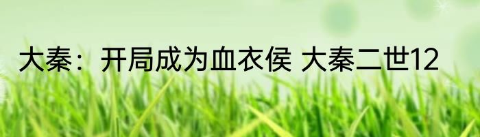 大秦：开局成为血衣侯 大秦二世12
