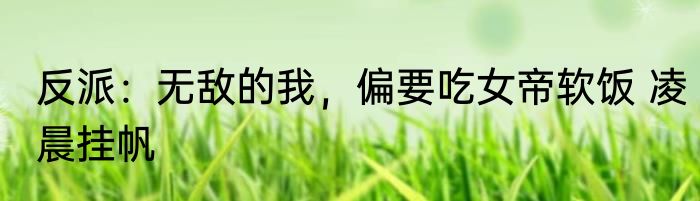 反派：无敌的我，偏要吃女帝软饭 凌晨挂帆