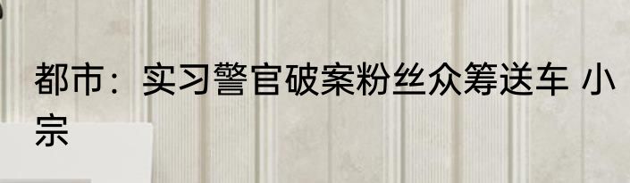 都市：实习警官破案粉丝众筹送车 小宗