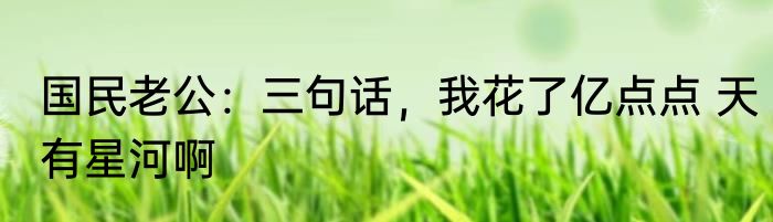 国民老公：三句话，我花了亿点点 天有星河啊