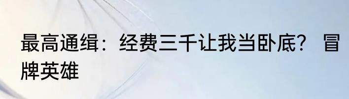 最高通缉：经费三千让我当卧底？ 冒牌英雄