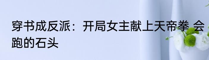 穿书成反派：开局女主献上天帝拳 会跑的石头