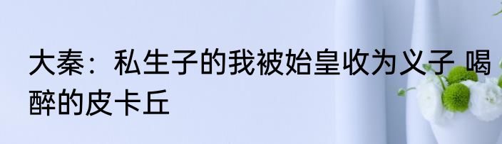大秦：私生子的我被始皇收为义子 喝醉的皮卡丘