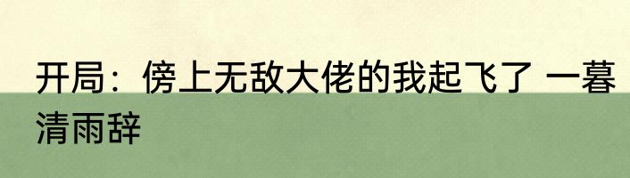 开局：傍上无敌大佬的我起飞了 一暮清雨辞