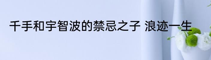 千手和宇智波的禁忌之子 浪迹一生