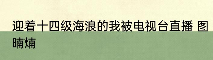 迎着十四级海浪的我被电视台直播 图暔煵