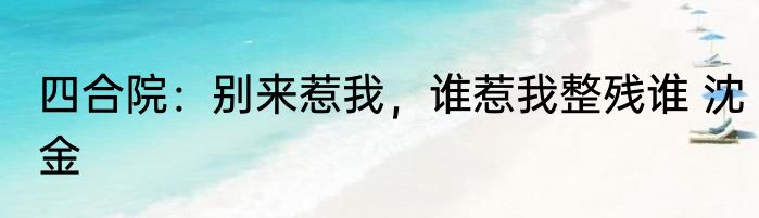 四合院：别来惹我，谁惹我整残谁 沈金