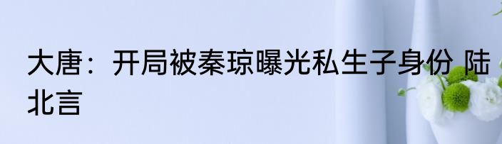 大唐：开局被秦琼曝光私生子身份 陆北言