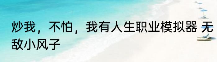 炒我，不怕，我有人生职业模拟器 无敌小风子