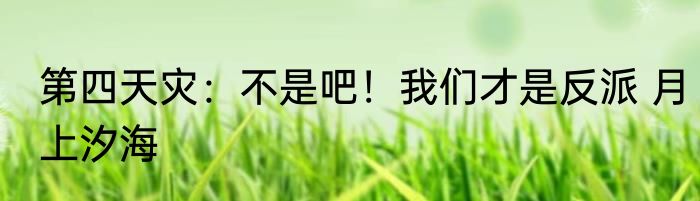 第四天灾：不是吧！我们才是反派 月上汐海