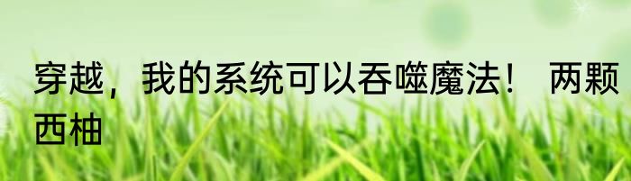 穿越，我的系统可以吞噬魔法！ 两颗西柚