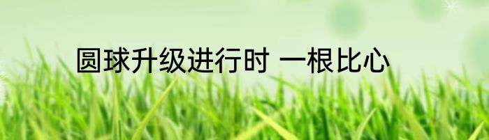 圆球升级进行时 一根比心
