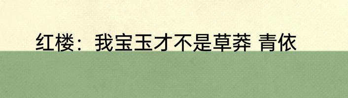 红楼：我宝玉才不是草莽 青依