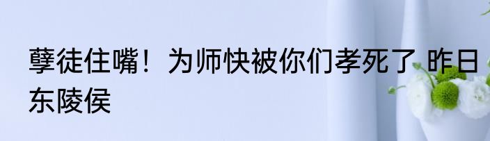 孽徒住嘴！为师快被你们孝死了 昨日东陵侯