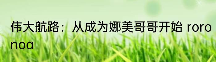 伟大航路：从成为娜美哥哥开始 roronoa