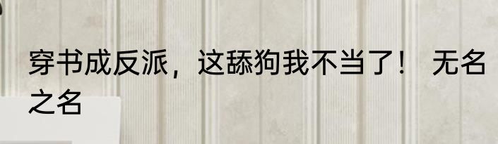 穿书成反派，这舔狗我不当了！ 无名之名