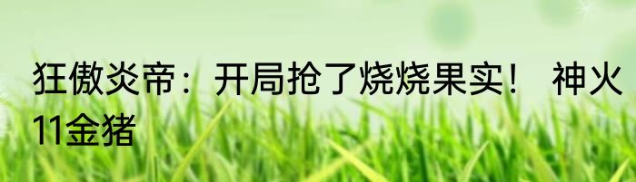 狂傲炎帝：开局抢了烧烧果实！ 神火11金猪