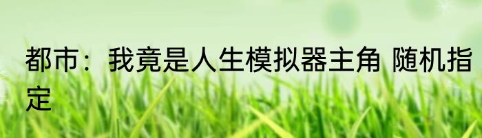 都市：我竟是人生模拟器主角 随机指定