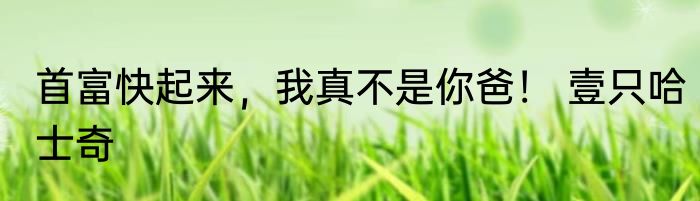 首富快起来，我真不是你爸！ 壹只哈士奇