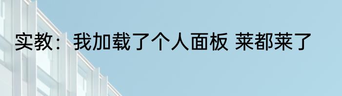 实教：我加载了个人面板 莱都莱了