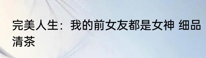 完美人生：我的前女友都是女神 细品清茶