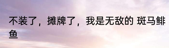 不装了，摊牌了，我是无敌的 斑马鲱鱼