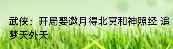 武侠：开局娶邀月得北冥和神照经 追梦天外天