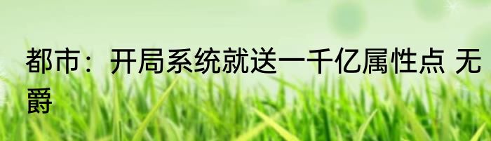 都市：开局系统就送一千亿属性点 无爵
