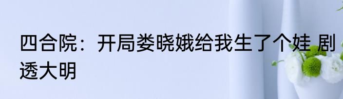 四合院：开局娄晓娥给我生了个娃 剧透大明