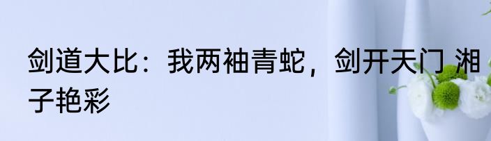 剑道大比：我两袖青蛇，剑开天门 湘子艳彩