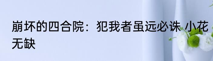 崩坏的四合院：犯我者虽远必诛 小花无缺