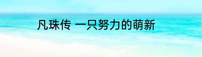 凡珠传 一只努力的萌新