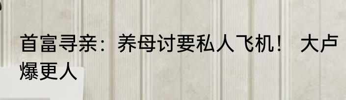 首富寻亲：养母讨要私人飞机！ 大卢爆更人