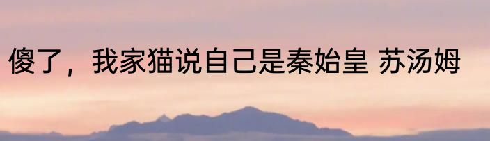 傻了，我家猫说自己是秦始皇 苏汤姆