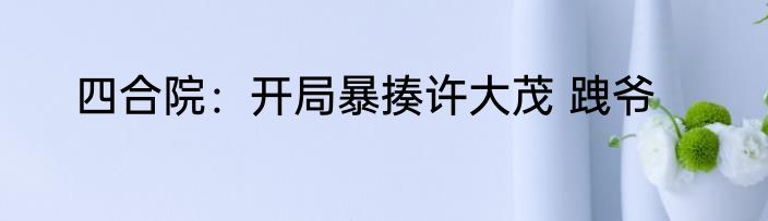 四合院：开局暴揍许大茂 跩爷