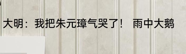大明：我把朱元璋气哭了！ 雨中大鹅