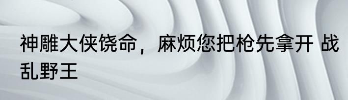 神雕大侠饶命，麻烦您把枪先拿开 战乱野王